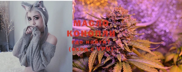 mix Горняк
