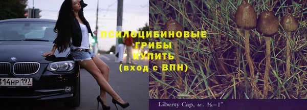 прущий лед Горнозаводск