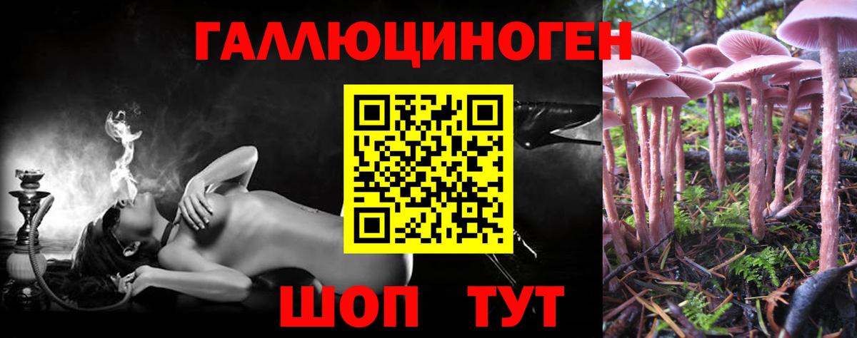 Псилоцибиновые грибы Magic Shrooms Моршанск