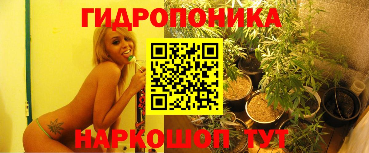 Шишки марихуана AK-47  Моршанск  Бошки Шишки семена 